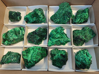 Natural Silky Malachite Specimens x 12 From Kasompe, Congo - Toprock Gemstones and Minerals 
