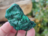 Natural Silky Malachite Specimens x 12 From Kasompe, Congo - Toprock Gemstones and Minerals 