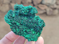 Natural Silky Malachite Specimens x 12 From Kasompe, Congo - Toprock Gemstones and Minerals 