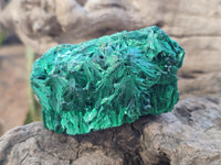 Natural Silky Malachite Specimens x 12 From Kasompe, Congo - Toprock Gemstones and Minerals 