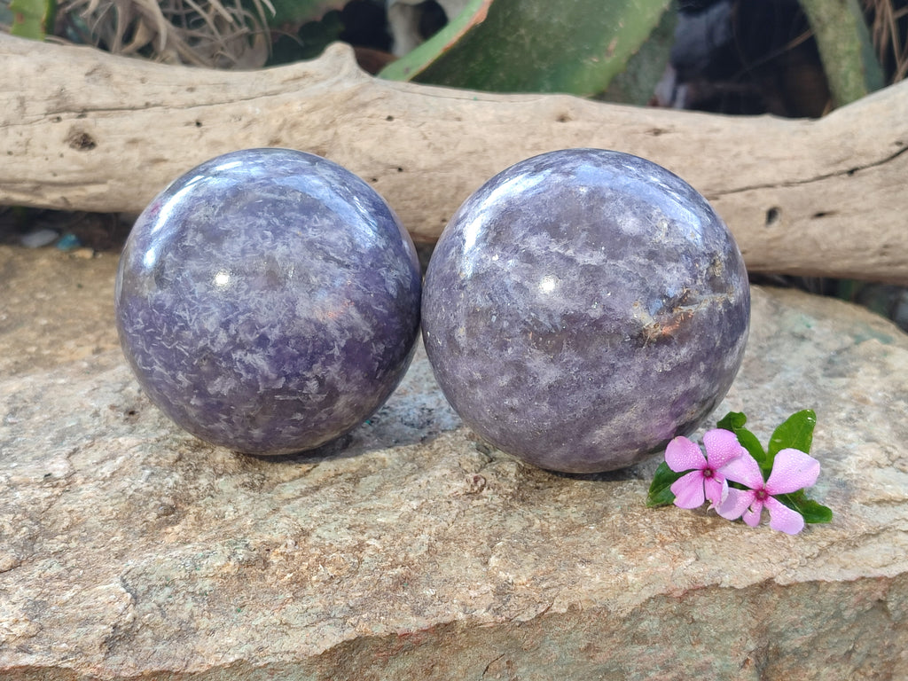 Polished Lepidolite with Pink Rubellite Spheres x 2 From Ambatondrazaka, Madagascar - Toprock Gemstones and Minerals 