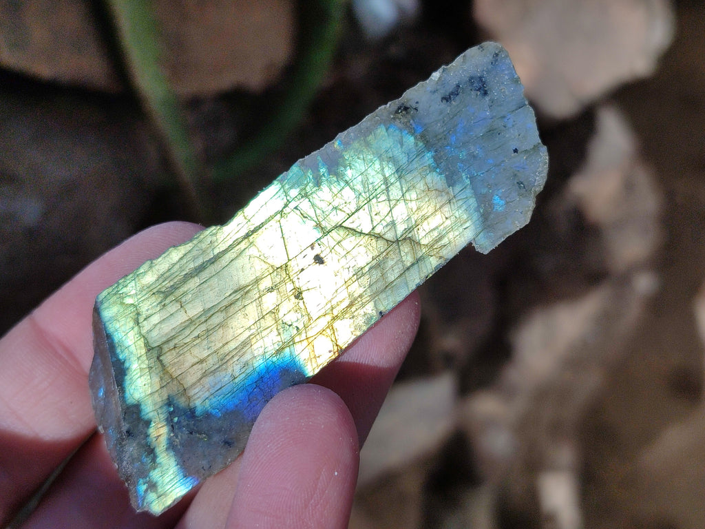 Polished On One Side Labradorite Plates x 35 From Tulear, Madagascar - Toprock Gemstones and Minerals 