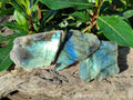 Polished On One Side Labradorite Plates x 35 From Tulear, Madagascar - Toprock Gemstones and Minerals 