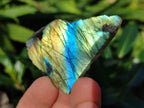 Polished On One Side Labradorite Plates x 35 From Tulear, Madagascar - Toprock Gemstones and Minerals 