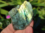 Polished On One Side Labradorite Plates x 35 From Tulear, Madagascar - Toprock Gemstones and Minerals 
