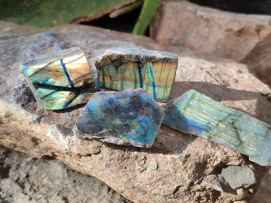 Polished On One Side Labradorite Plates x 35 From Tulear, Madagascar - Toprock Gemstones and Minerals 