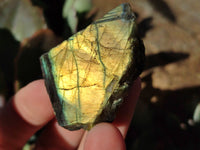Polished On One Side Labradorite Plates x 35 From Tulear, Madagascar - Toprock Gemstones and Minerals 