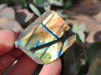 Polished On One Side Labradorite Plates x 35 From Tulear, Madagascar - Toprock Gemstones and Minerals 