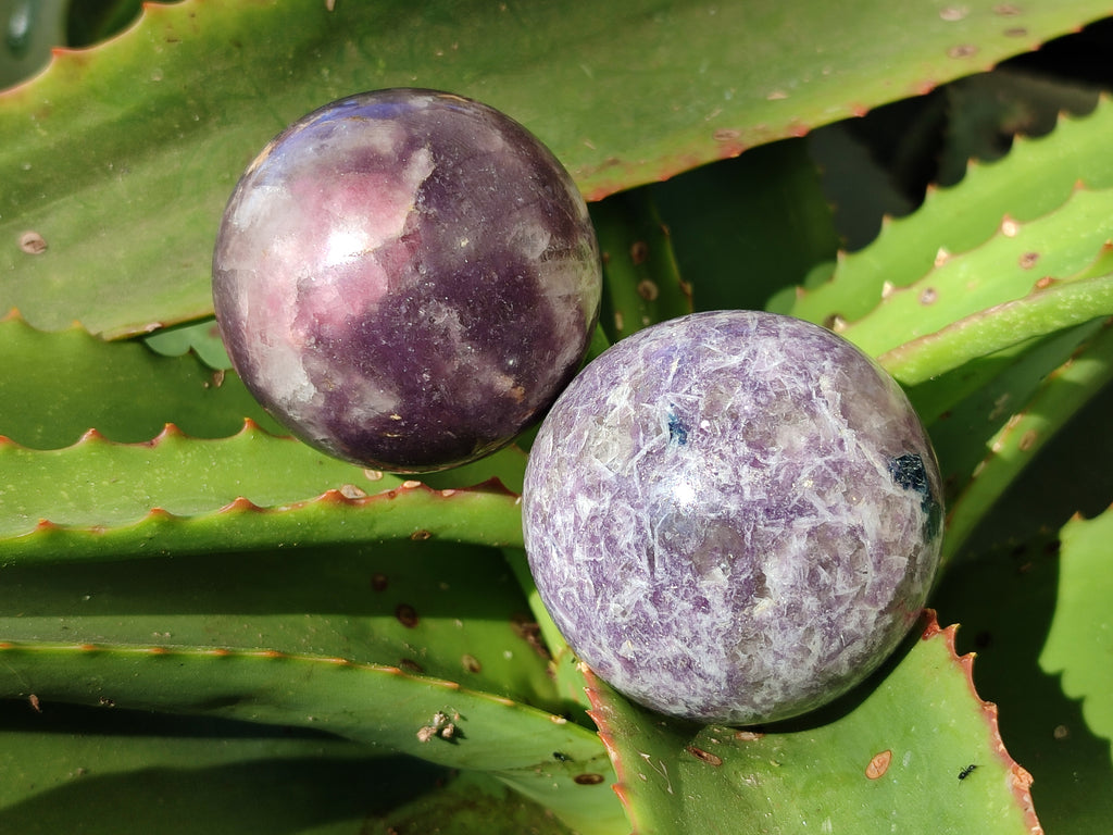 Polished Lepidolite with Pink Rubellite Spheres x 4 From Ambatondrazaka, Madagascar - Toprock Gemstones and Minerals 