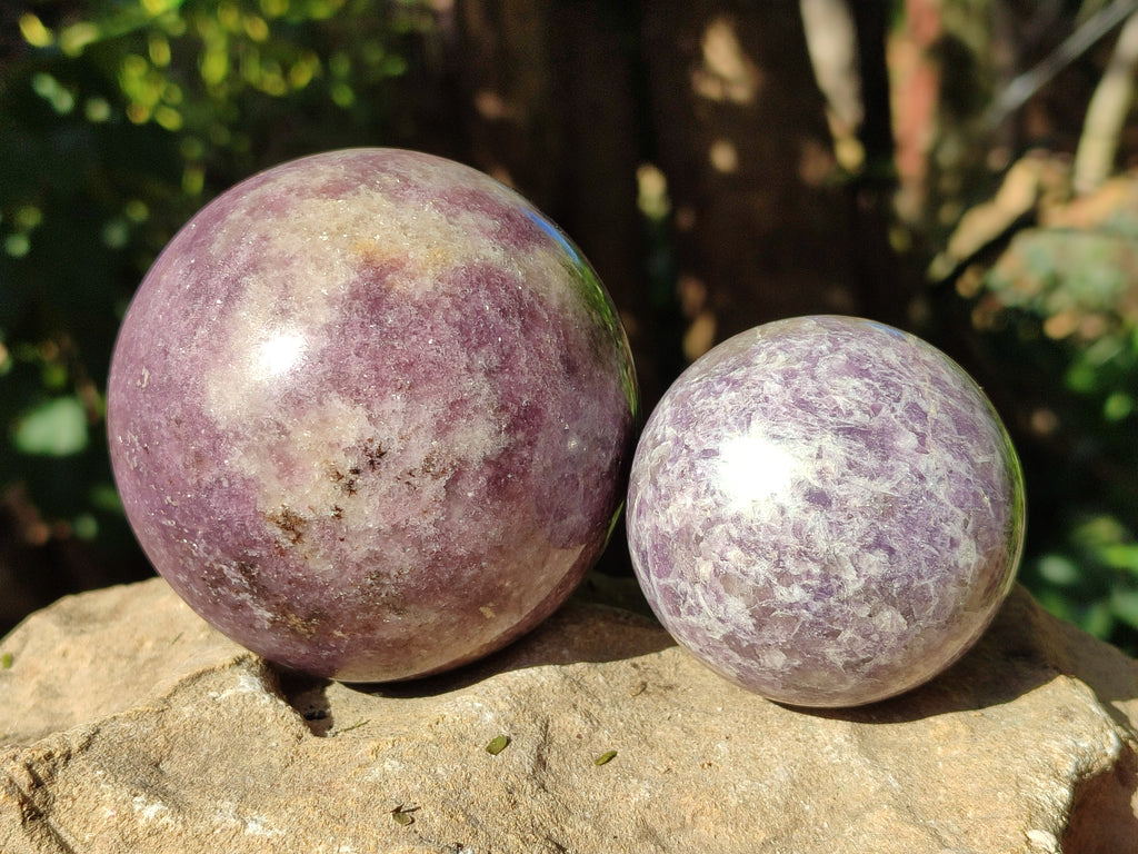 Polished Lepidolite with Pink Rubellite Spheres x 4 From Ambatondrazaka, Madagascar - Toprock Gemstones and Minerals 
