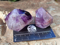 Polished Window Amethyst Quartz Points x 6 From Akansobe, Madagascar - Toprock Gemstones and Minerals 