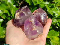 Polished Window Amethyst Quartz Points x 6 From Akansobe, Madagascar - Toprock Gemstones and Minerals 