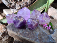 Polished Window Amethyst Quartz Points x 6 From Akansobe, Madagascar - Toprock Gemstones and Minerals 