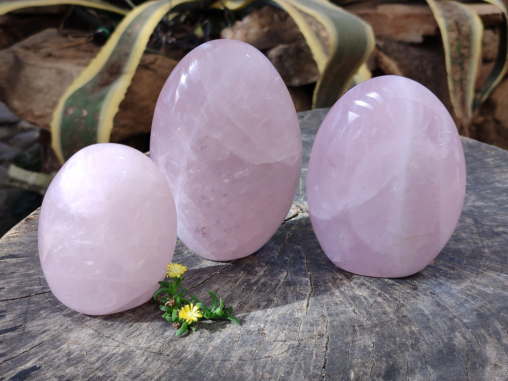 Polished Rose Quartz Standing Free Forms x 3 From Ambatondrazaka, Madagascar - Toprock Gemstones and Minerals 