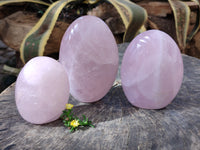 Polished Rose Quartz Standing Free Forms x 3 From Ambatondrazaka, Madagascar - Toprock Gemstones and Minerals 