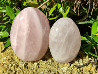 Polished Rose Quartz Standing Free Forms x 3 From Ambatondrazaka, Madagascar - Toprock Gemstones and Minerals 