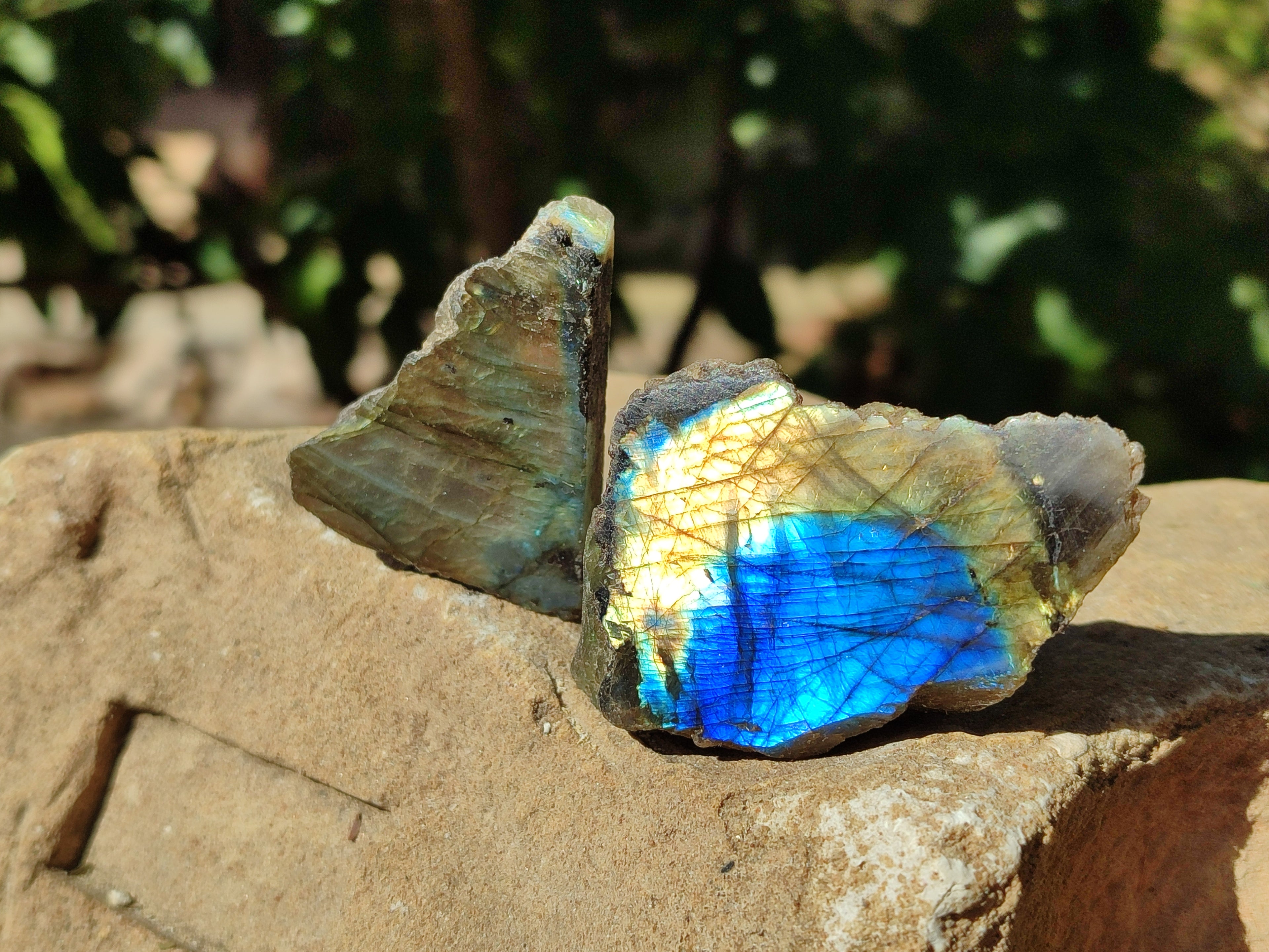 Polished On One Side Labradorite Plates x 35 From Tulear, Madagascar - Toprock Gemstones and Minerals 