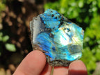 Polished On One Side Labradorite Plates x 35 From Tulear, Madagascar - Toprock Gemstones and Minerals 