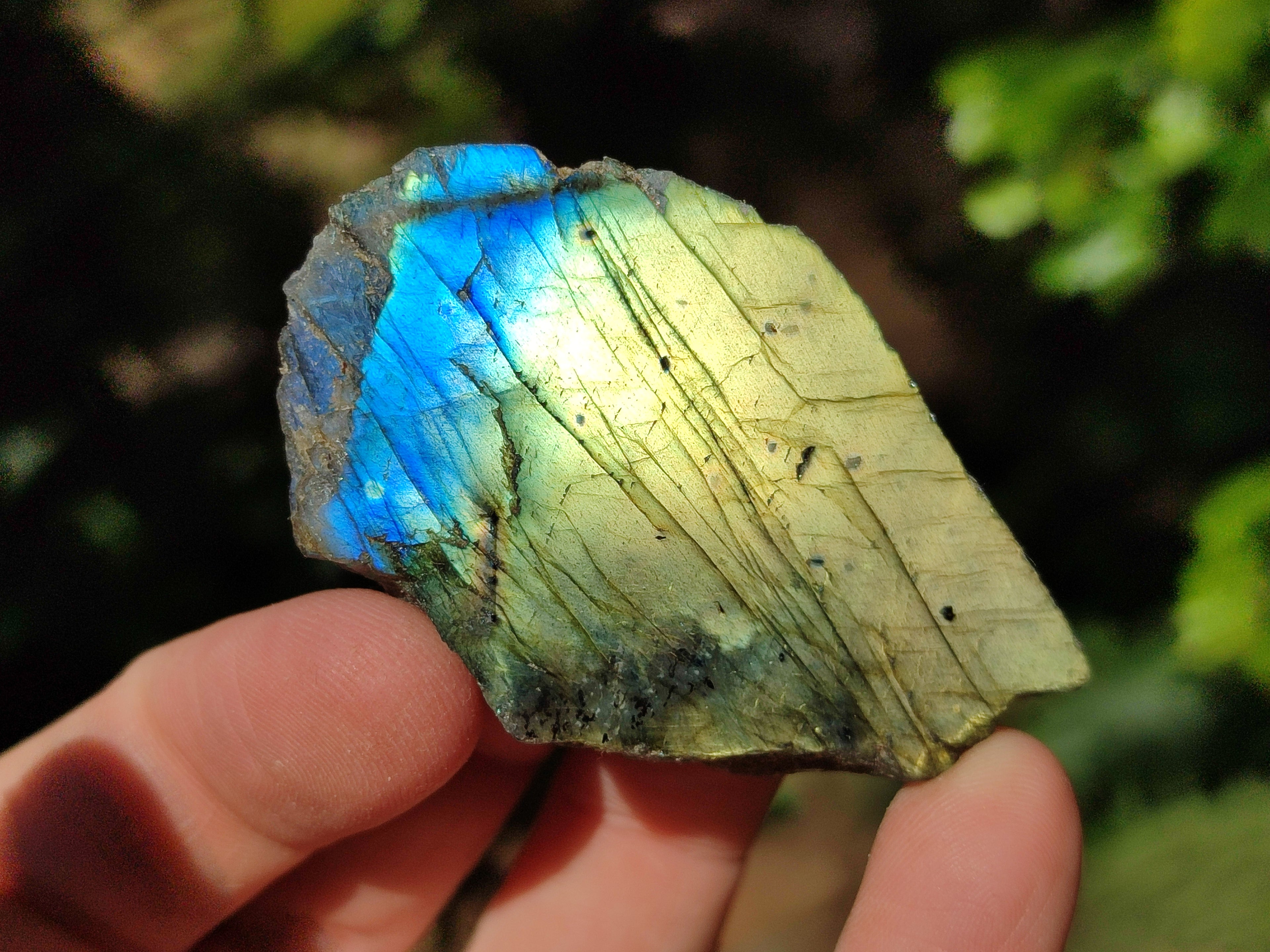 Polished On One Side Labradorite Plates x 35 From Tulear, Madagascar - Toprock Gemstones and Minerals 