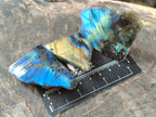 Polished On One Side Labradorite Plates x 35 From Tulear, Madagascar - Toprock Gemstones and Minerals 