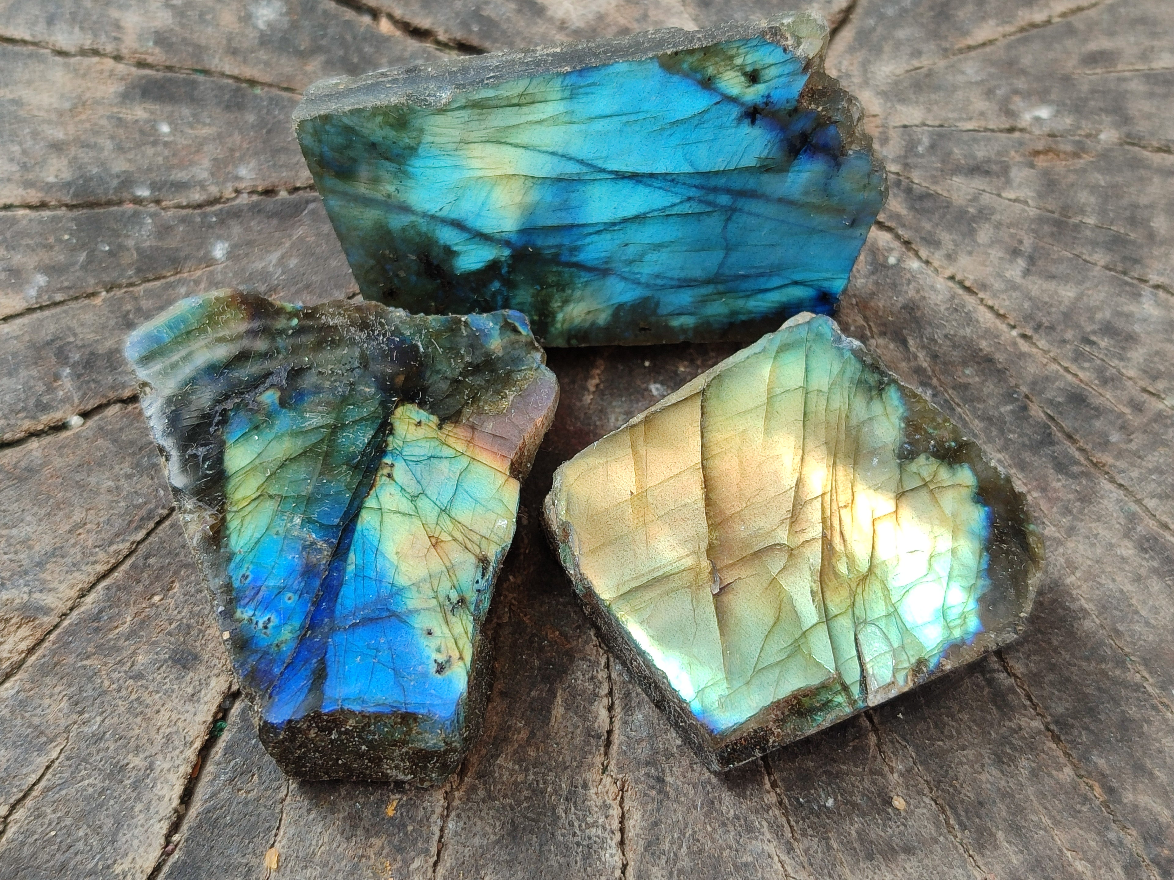 Polished On One Side Labradorite Plates x 35 From Tulear, Madagascar - Toprock Gemstones and Minerals 