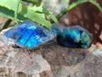 Polished On One Side Labradorite Plates x 35 From Tulear, Madagascar - Toprock Gemstones and Minerals 