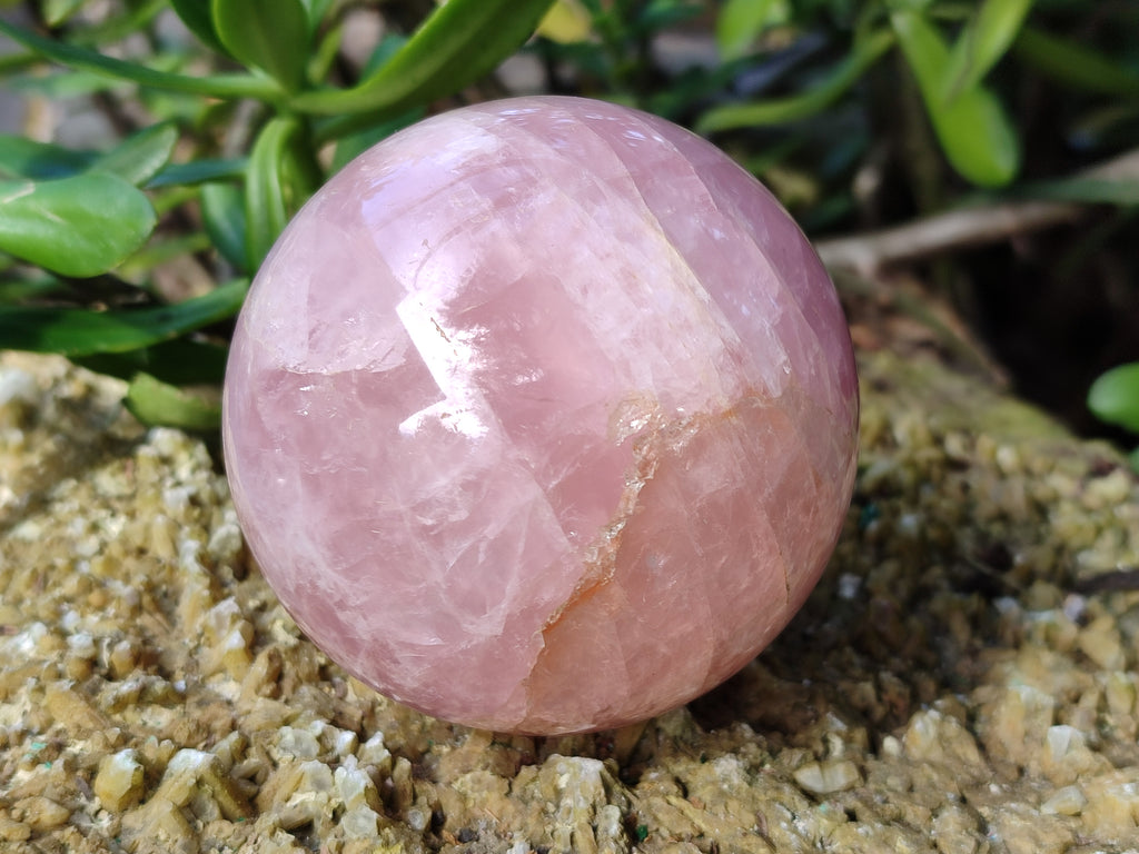 Polished Gemmy Rose Quartz Spheres, 1 with Star/Asterism x 6 From Ambatondrazaka, Madagascar - Toprock Gemstones and Minerals 