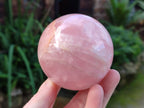 Polished Gemmy Rose Quartz Spheres, 1 with Star/Asterism x 6 From Ambatondrazaka, Madagascar - Toprock Gemstones and Minerals 