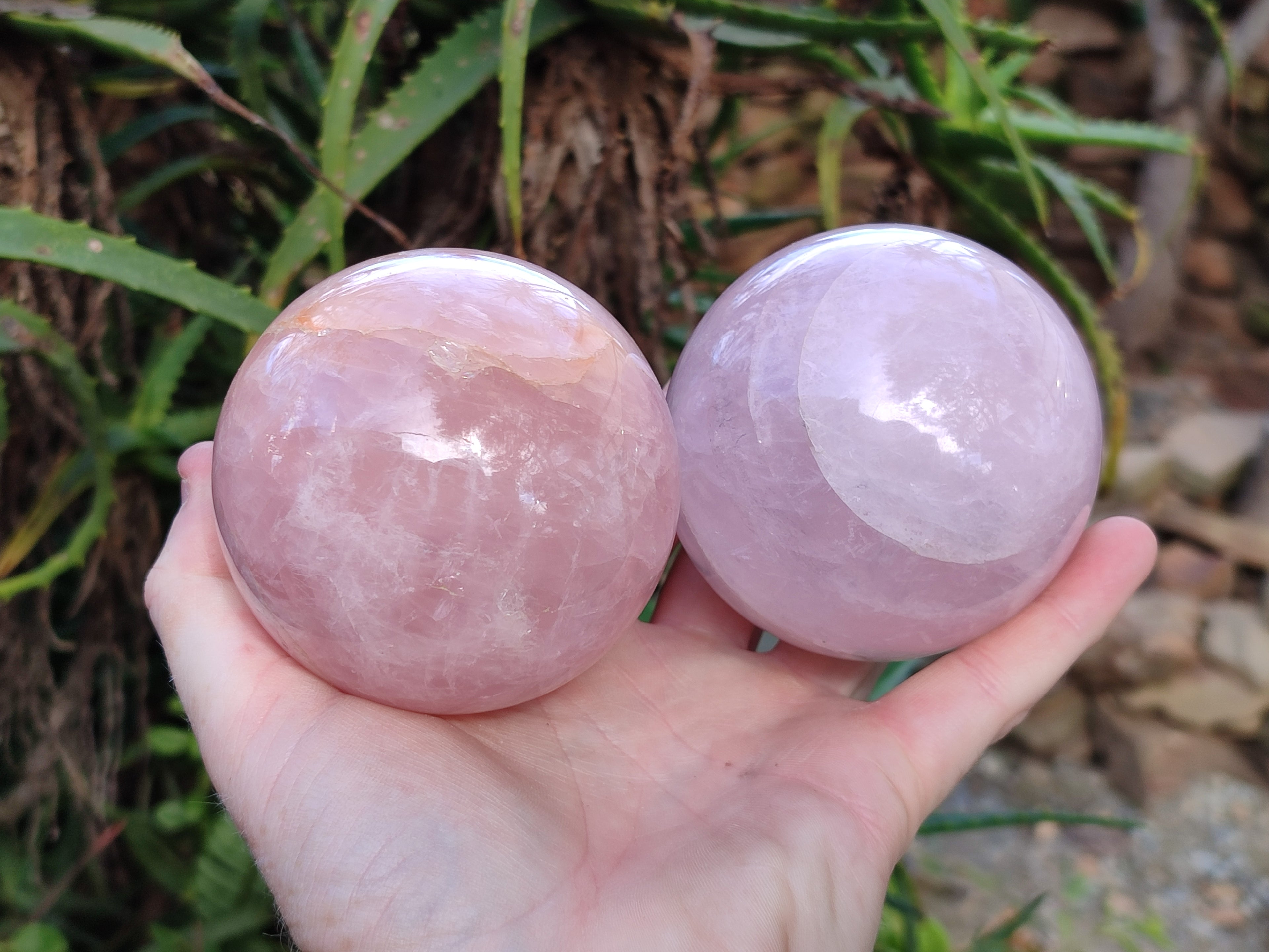 Polished Gemmy Rose Quartz Spheres, 1 with Star/Asterism x 6 From Ambatondrazaka, Madagascar - Toprock Gemstones and Minerals 