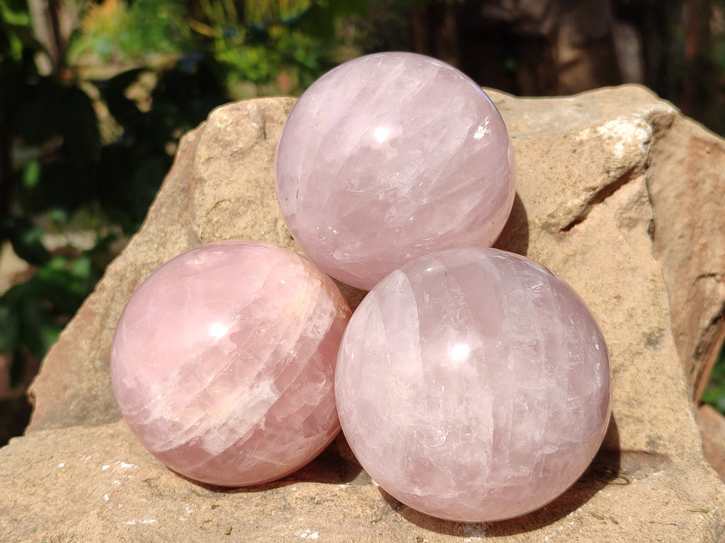 Polished Gemmy Rose Quartz Spheres, 1 with Star/Asterism x 6 From Ambatondrazaka, Madagascar - Toprock Gemstones and Minerals 
