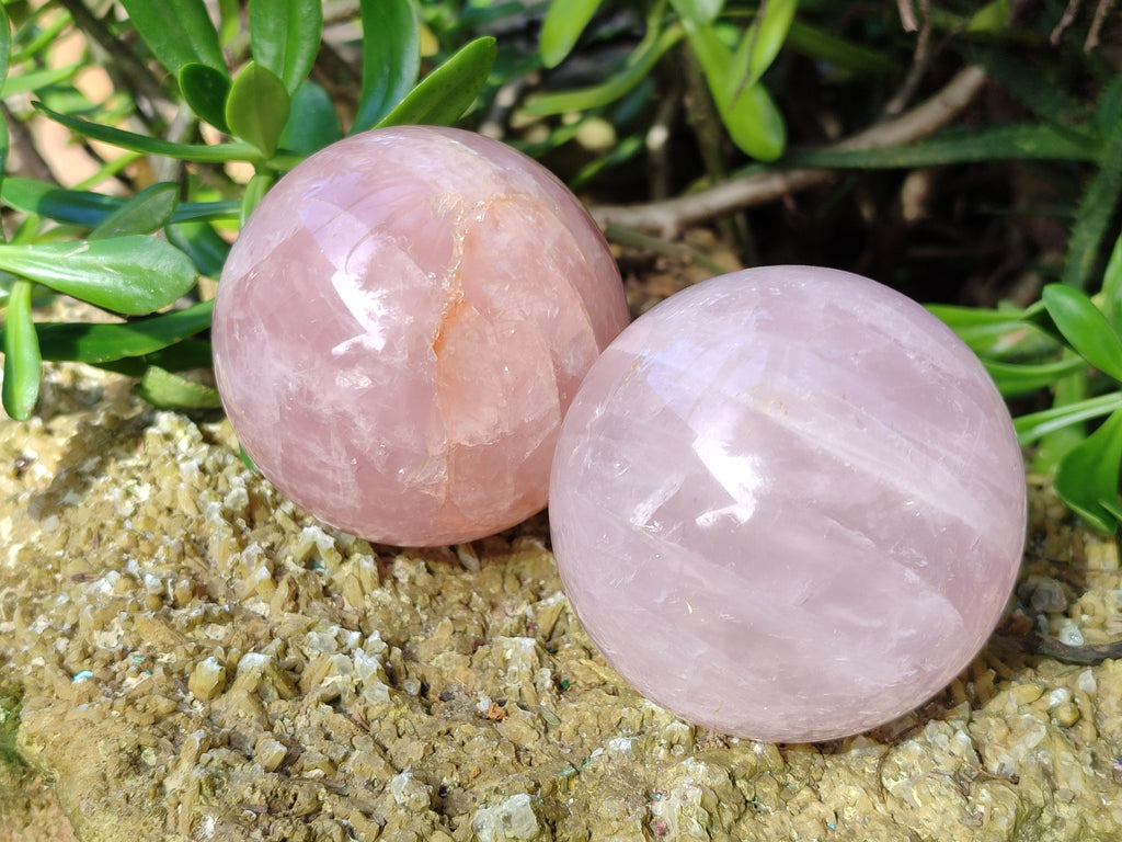 Polished Gemmy Rose Quartz Spheres, 1 with Star/Asterism x 6 From Ambatondrazaka, Madagascar - Toprock Gemstones and Minerals 