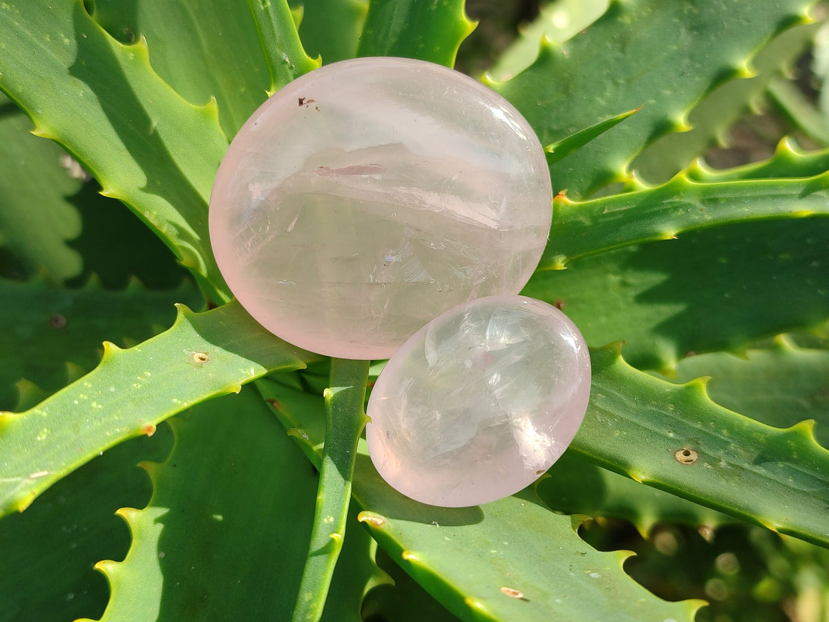 Polished Rose Quartz Palm Stones x 35 From Ambatondrazaka, Madagascar - Toprock Gemstones and Minerals 