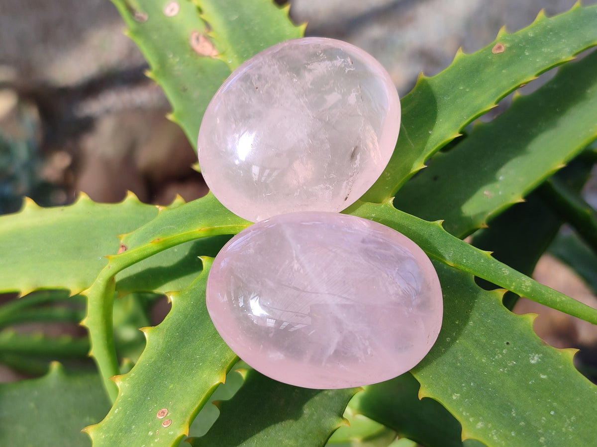 Polished Rose Quartz Palm Stones x 35 From Ambatondrazaka, Madagascar - Toprock Gemstones and Minerals 