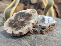 Polished Petrified Wood Slices x 6 From Gokwe, Zimbabwe
