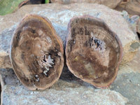 Polished Petrified Wood Slices x 6 From Gokwe, Zimbabwe