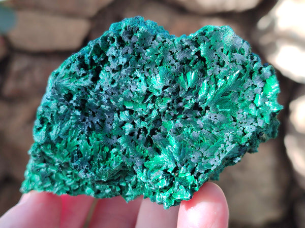 Natural Silky Malachite Specimens x 5 From Kasompe, Congo - Toprock Gemstones and Minerals 