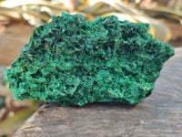 Natural Silky Malachite Specimens x 5 From Kasompe, Congo - Toprock Gemstones and Minerals 
