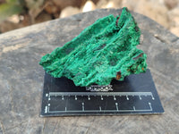 Natural Silky Malachite Specimens x 5 From Kasompe, Congo - Toprock Gemstones and Minerals 