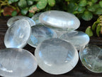 Polished Girasol and Rock Crystal Quartz Palm Stones x 24 From Ambatondrazaka, Madagascar - Toprock Gemstones and Minerals 
