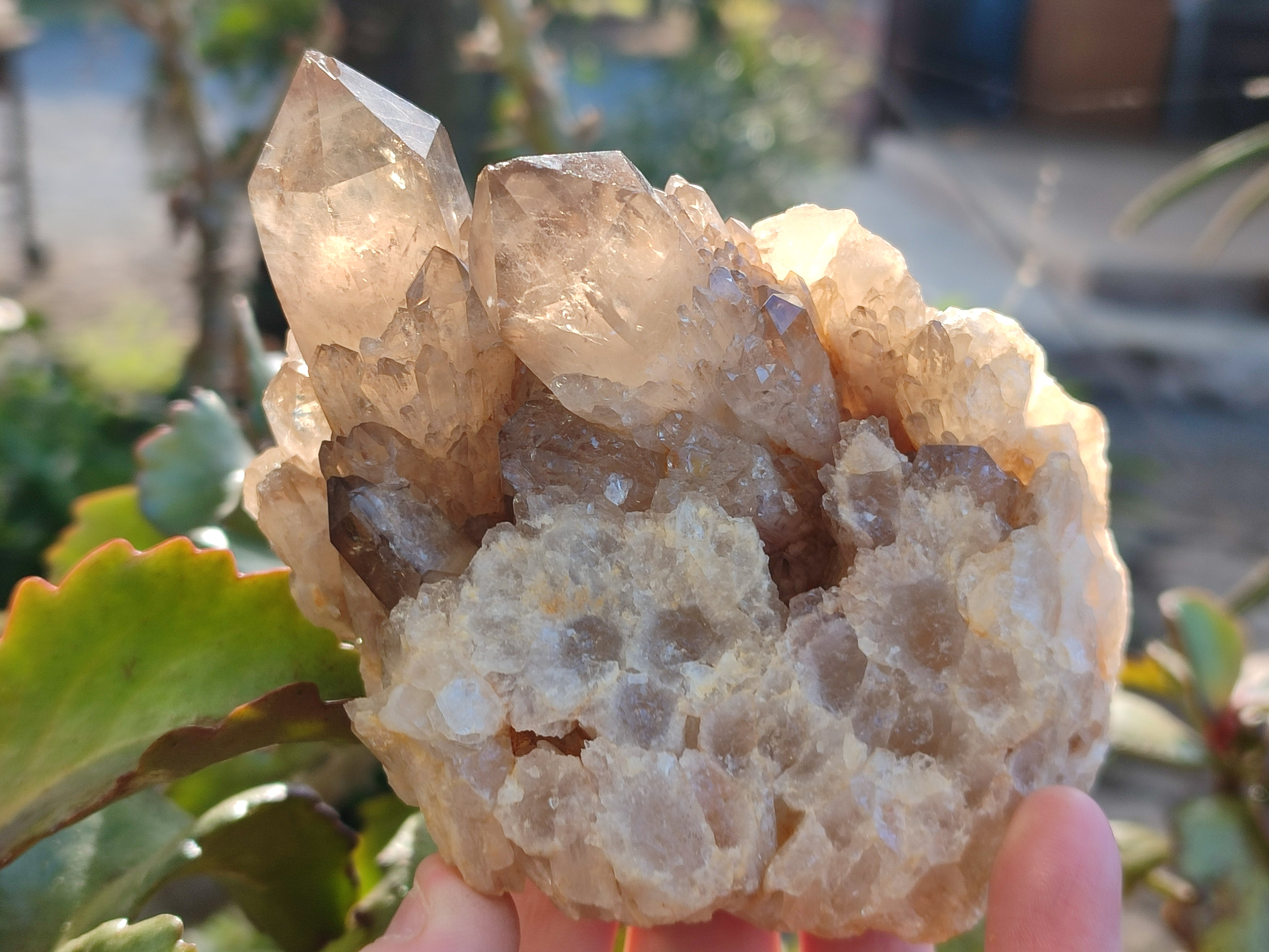 Natural Smokey Phantom Quartz Clusters x 3 From Luena, Congo - Toprock Gemstones and Minerals 