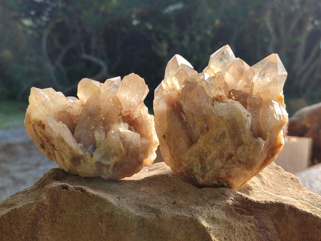 Natural Smokey Phantom Quartz Clusters x 3 From Luena, Congo - Toprock Gemstones and Minerals 