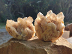 Natural Smokey Phantom Quartz Clusters x 3 From Luena, Congo - Toprock Gemstones and Minerals 