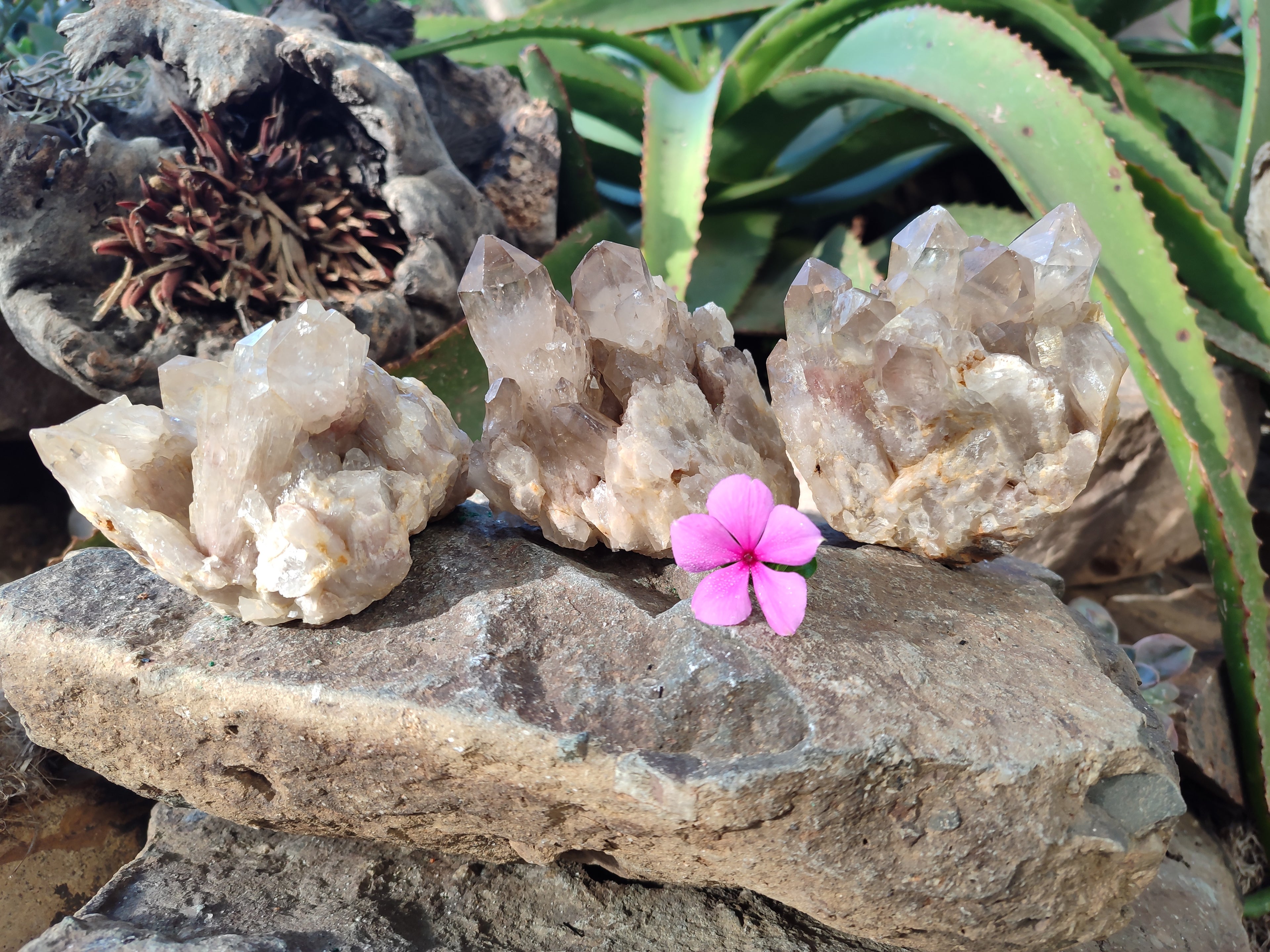 Natural Smokey Phantom Quartz Clusters x 3 From Luena, Congo - Toprock Gemstones and Minerals 