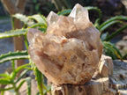 Natural Smokey Phantom Quartz Clusters x 3 From Luena, Congo - Toprock Gemstones and Minerals 