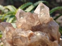 Natural Smokey Phantom Quartz Clusters x 3 From Luena, Congo - Toprock Gemstones and Minerals 