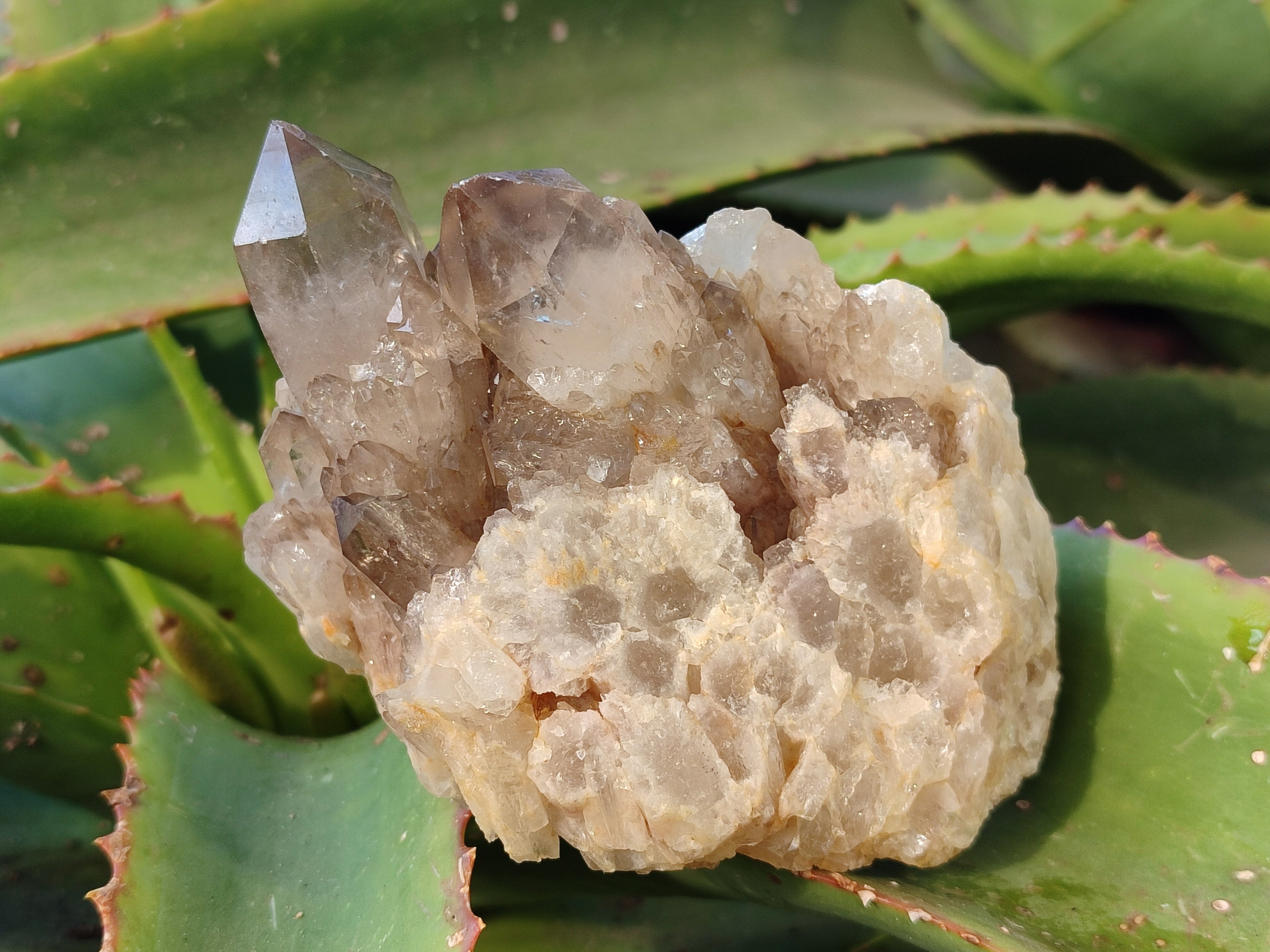 Natural Smokey Phantom Quartz Clusters x 3 From Luena, Congo - Toprock Gemstones and Minerals 