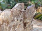 Natural Smokey Phantom Quartz Clusters x 3 From Luena, Congo - Toprock Gemstones and Minerals 