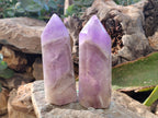 Polished Chevron Amethyst Points x 2 from Ankazobe, Madagascar - Toprock Gemstones and Minerals 