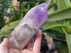 Polished Chevron Amethyst Points x 2 from Ankazobe, Madagascar - Toprock Gemstones and Minerals 