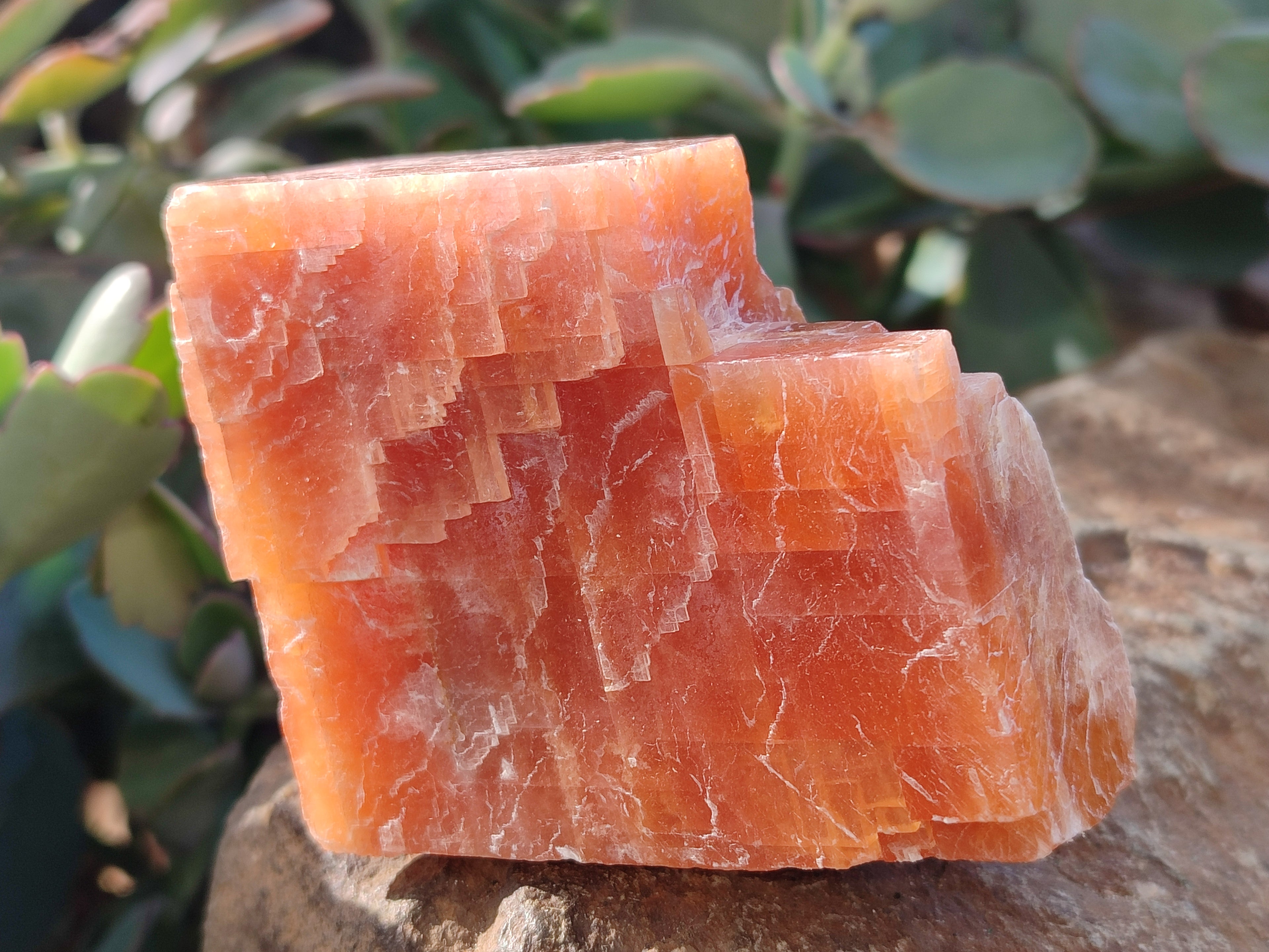 Natural Rhombohedral Sunset Orange Calcite Specimens x 12 From Spitzkop, Namibia - Toprock Gemstones and Minerals 